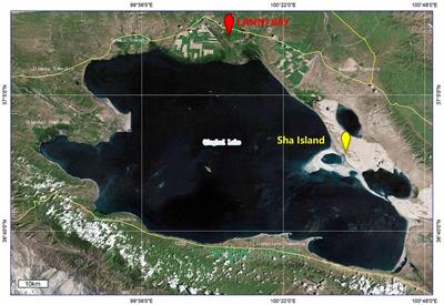 Genetic characterization of the first Deltacoronavirus from wild birds around Qinghai Lake
